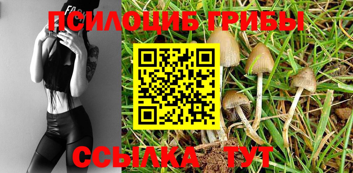 Псилоцибиновые грибы мицелий Лысьва
